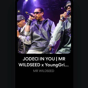 MR WILDSEED - JODECI IN YOU  MR WILDSEED x YoungGrizzly