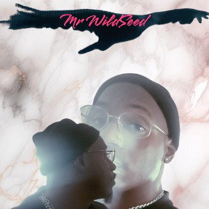 MAKE IT SIMPLE by Mr WildSeed 