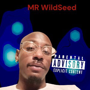 Just Fuck It by Mr WildSeed 