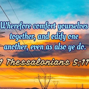 TOGETHER WE FIND  MR WILDSEED x BE-TWIIN 