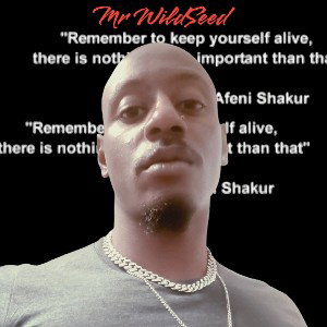 STOP 🛑 PLAYIN by Mr WildSeed 