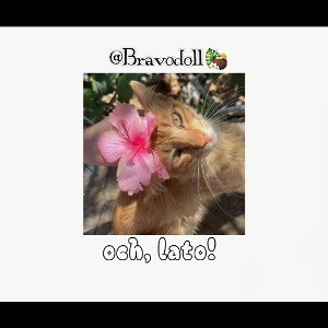 Bravodoll - och, lato!