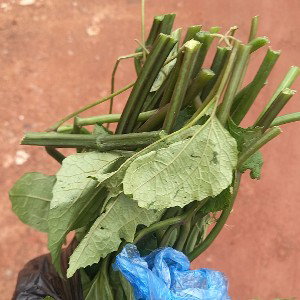 Nigeria my country