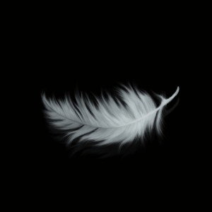 1.saktar|ساختار