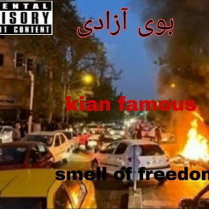 Audio_703086