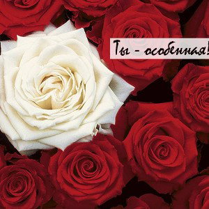 Ты Моя Богиня "Elena Safonova"