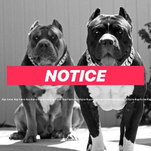 Notice 