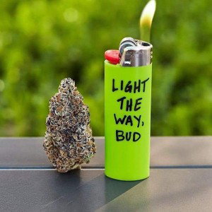 Rolling Up My Weed