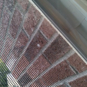 fence