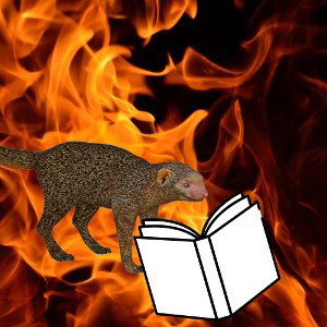 FaZe Mongoose reads the first paragraph in the mongoose Wikipedia page