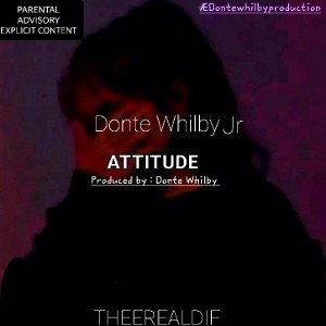 ATTITUDE