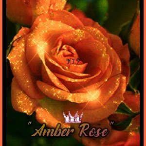"Amber Rose"