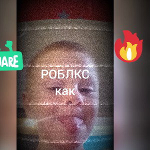 котдидимщь