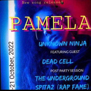 PAMELA  by Unknown Ninja