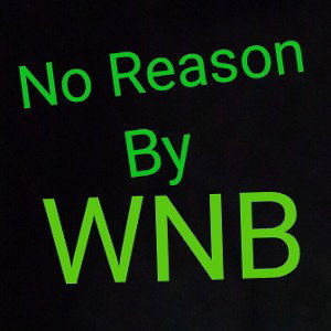 No reason