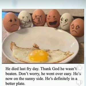 (=/_×_/=)