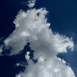 38-real loner 1