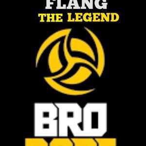 Bro Code