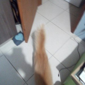 minha noite de pó 