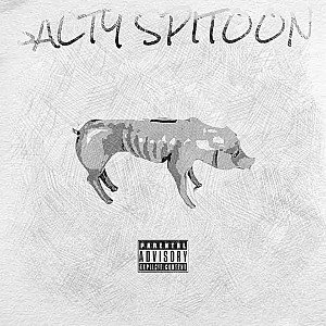 SALTY SPITOON