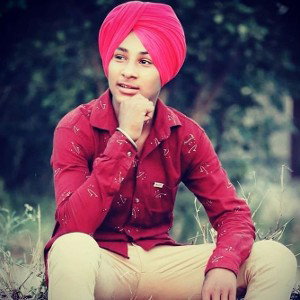 anmol majithia