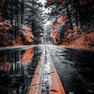 Осенняя пара