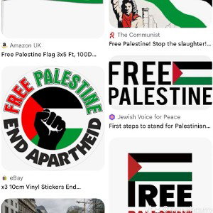 🕵️ pitol free Palestinian 