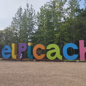 letras vivas