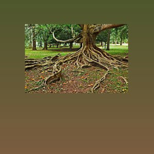 Kandy  - Flowz  - Roots_freestyle_
