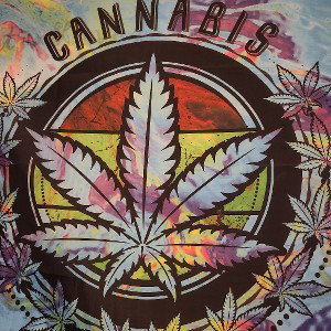 smoke n roll with me 
