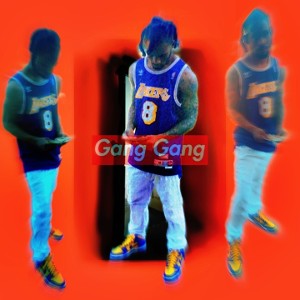 gang gang