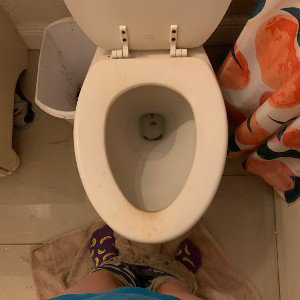 Poop in a Boot