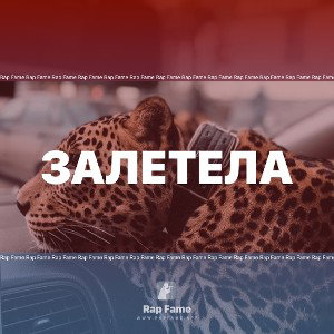 ЗАЛЕТЕЛА