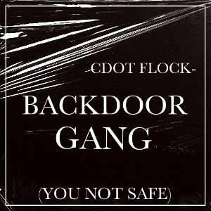 CDOT FLOCK-BACKDOOR GANG (YOU NOT SAFE)  