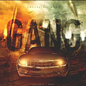 Trigger Kay - Gang