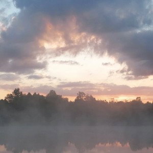 Posée au calme