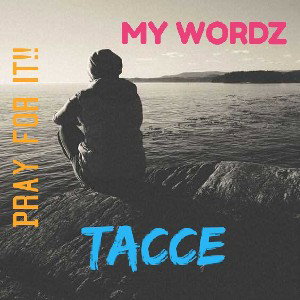  My Wordz 