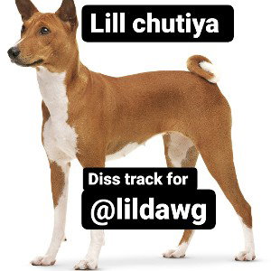 lil chutiya 