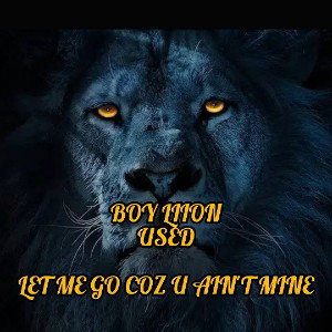 Boy Liion_-_Used
