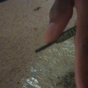 hoes cumming 