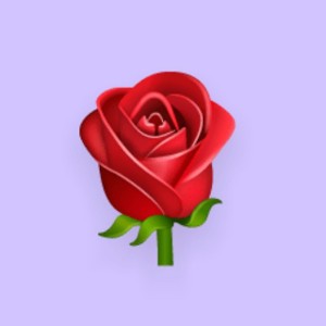 mjolo