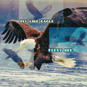 Fly like eagle 