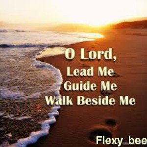 Flexy bee - Lead me - 