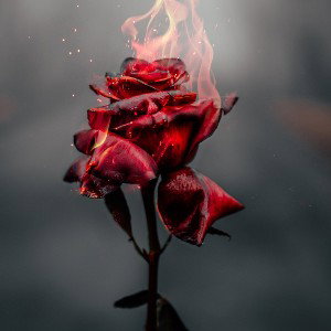 Real_love_is_blind____fake_love_you_see_right_through___