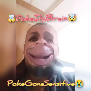 PokeGoneSensitive 