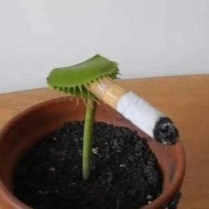 el demonio