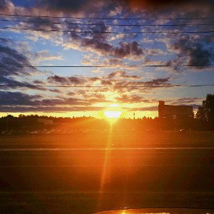 Sunbeams and and starshine