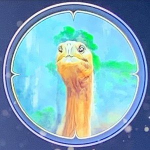 SRB Qualifikation