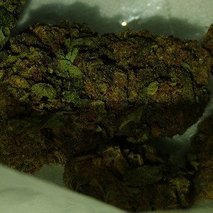 Lilac Haze