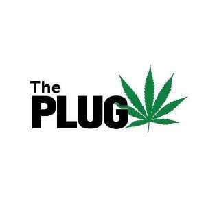 The Plug 420 